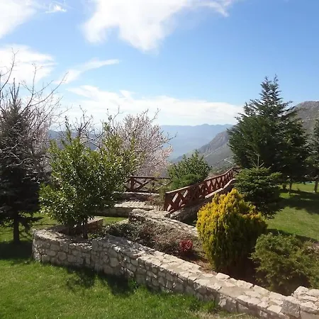 Luxurious In The Surrounding Of A 5 Βίλα