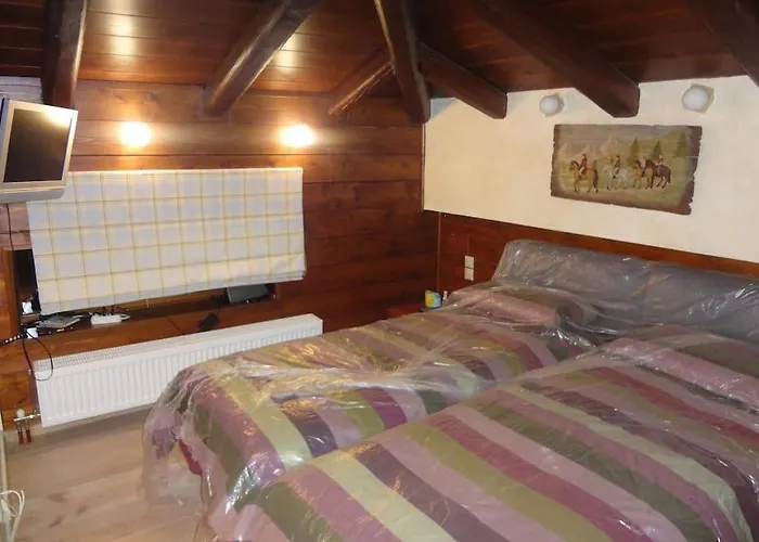 Villa Luxurious In The Surrounding Of A 5